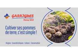 Tout connaitre sur l'Allians !