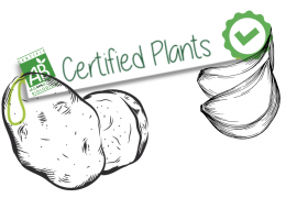 Certifications des plants et semences